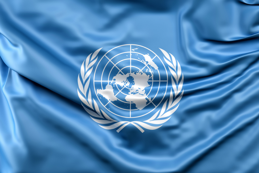 5 Program Magang Perserikatan Bangsa-Bangsa (PBB)