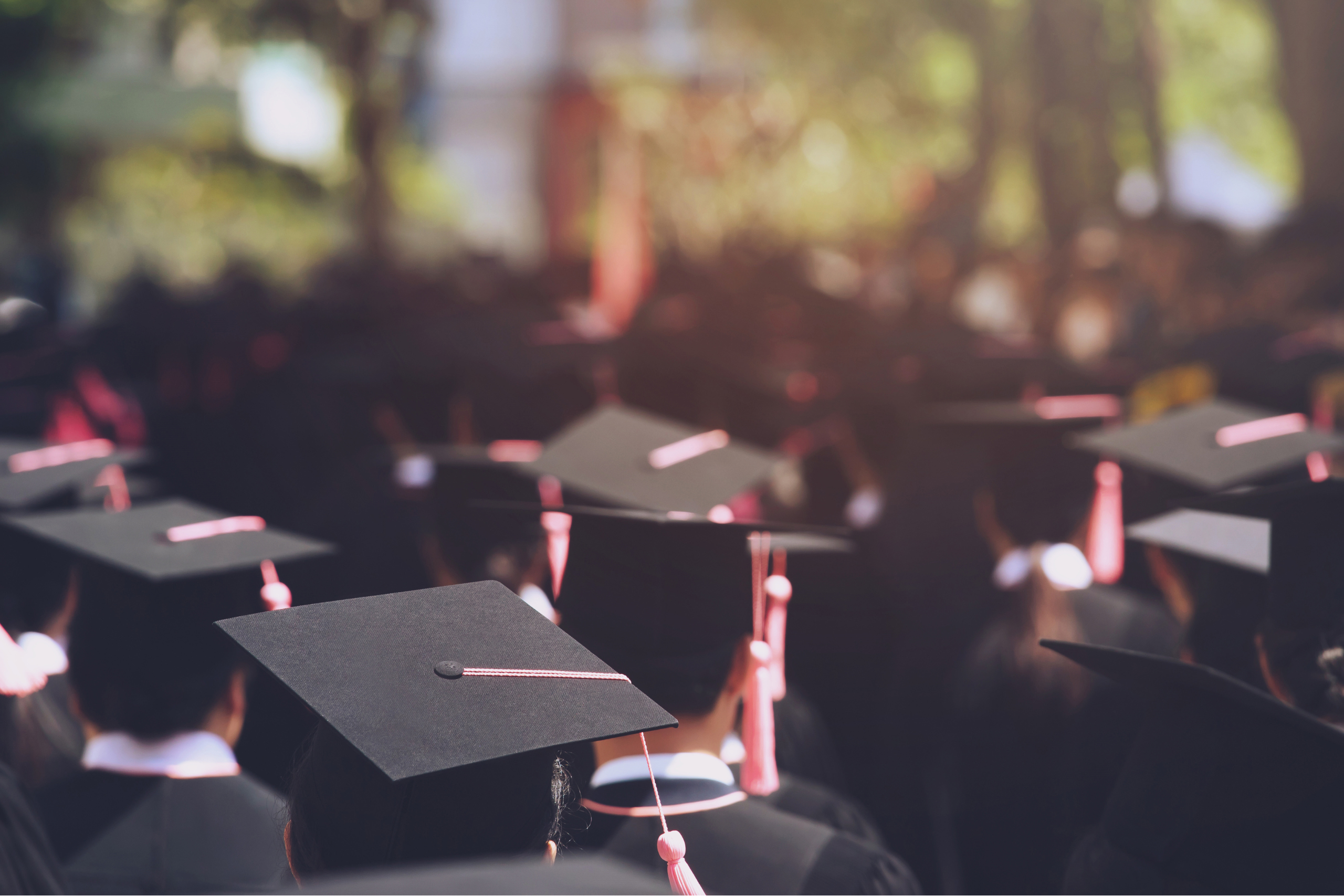 Daftar kuliah di luar negeri di mediamaz scholar
